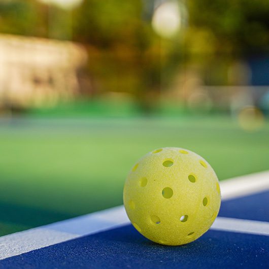 Nassau Pickleball 365